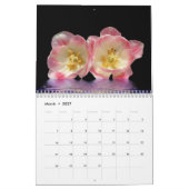 Digitale Darkroom 2019 - Agenda Kalender (Mar 2027)