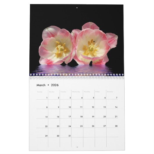 Digitale Darkroom 2019 - Agenda Kalender (Mar 2026)