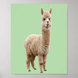 Digitale Download | Cute Alpaca Sage Green Foto Poster