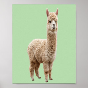 Digitale Download Cute Alpaca Sage Green Foto Poster
