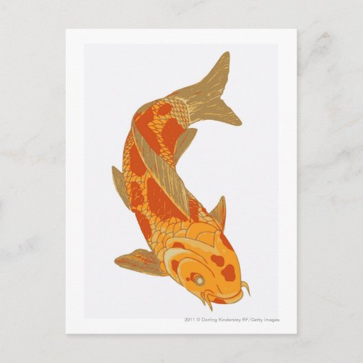 Digitale illustratie van Koi Carp Briefkaart (Voorkant)