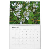 Digitale kalenderventilatortuin #2 kalender (Mar 2027)