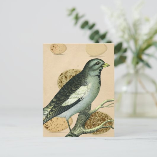  digitale kunst briefkaart (Staand voorkant)