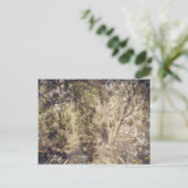 Digitale kunst met boomlagen briefkaart (Staand voorkant)