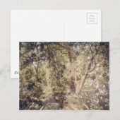 Digitale kunst met boomlagen briefkaart (Voorkant / Achterkant)