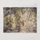 Digitale kunst met boomlagen briefkaart (Voorkant)