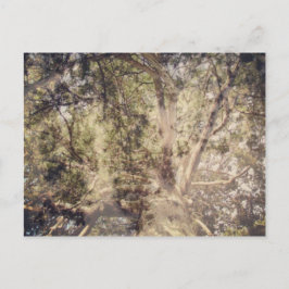 Digitale kunst met boomlagen briefkaart