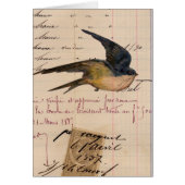 digitale kunst op basis van vogel- en langerpapie (Voorkant)