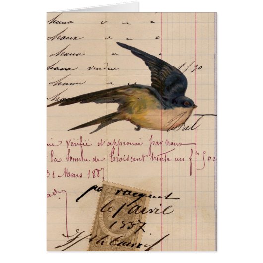 digitale kunst op basis van vogel- en langerpapie (Voorkant)