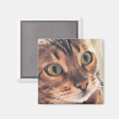 Digitale kunst Sluiten van prachtige katten Grote  Magneet (Voorkant / Achterkant)