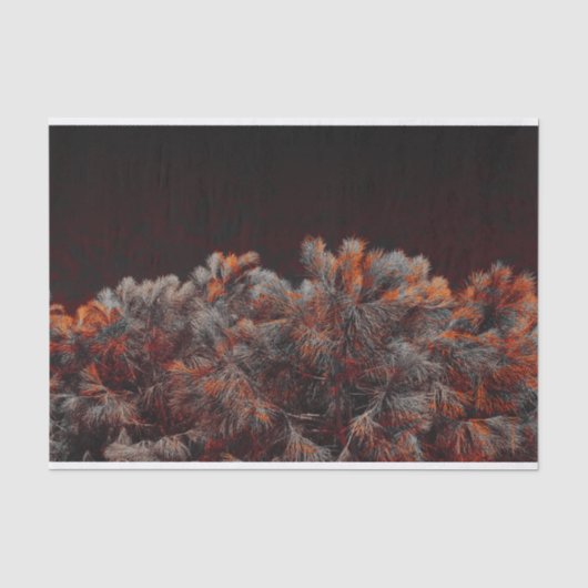 Digitale kunst van dennenbomen met oranje kleurvle tissuepapier (Voorkant)