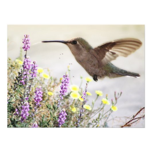 Digitale kunst voor mensvogels en wilde bloemen foto afdruk (Voorkant)
