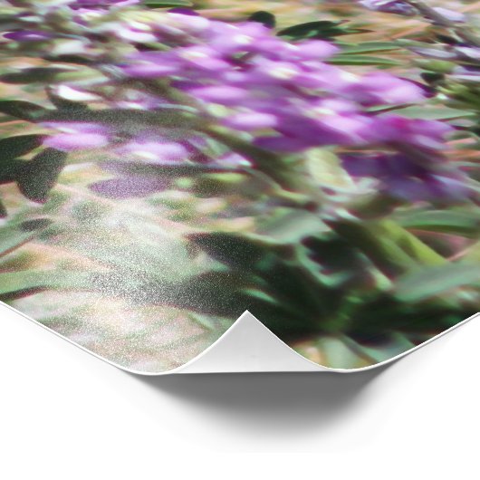 Digitale kunst voor mensvogels en wilde bloemen foto afdruk (Hoek)