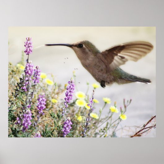 Digitale kunst voor mensvogels en wilde bloemen poster (Voorkant)