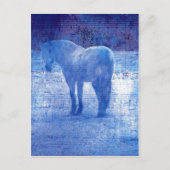 Digitale Paarse paardverf Briefkaart (Voorkant)