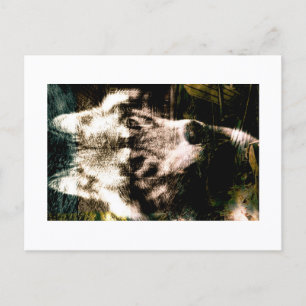 Digitale Remix Kunst: Wolf Ansichtkaart Print door Briefkaart