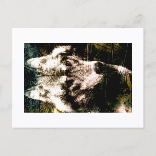 Digitale Remix Kunst: Wolf Ansichtkaart Print door Briefkaart (Voorkant)