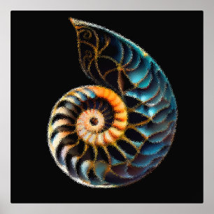 Digitale tekening bij Nautilus shell Folie Afdrukken