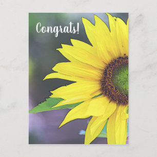 Digitale Waterverf voor zonnebloemen 2 Briefkaart