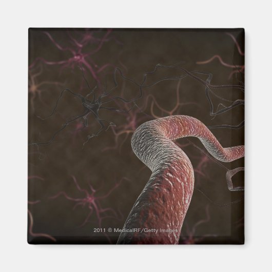 Digitale weergave van neuronen magneet (Voorkant)