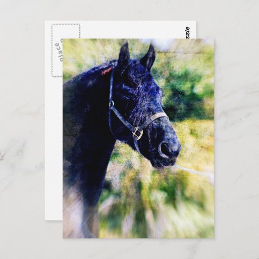 Digitale zwart-witkunst briefkaart (Voorkant / Achterkant)