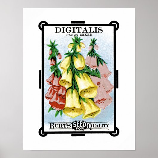 Digitalis Etiket verpakking voor zaaizaad Poster (Voorkant)