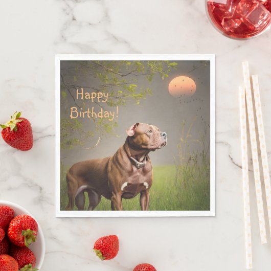 Dignified Brown Pitbull Servet (Insitu)