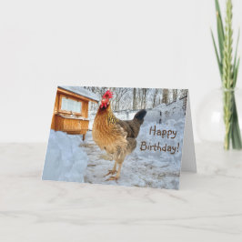 Dignified Chicken Happy Birthday Kaart