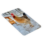 Dignified Chicken Magneet (Rechterzijde)