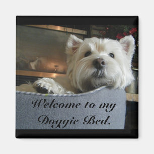 Dignified Westie Photo Magnet