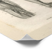 Dijbeen-spieren anatomie Afdrukken Poster (Hoek)