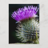 dik briefkaart (Voorkant)