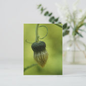 dik briefkaart (Staand voorkant)