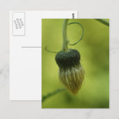 dik briefkaart (Voorkant / Achterkant)