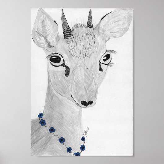 Dik- Dik Poster (Voorkant)