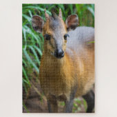 Dik Dik Puzzle Legpuzzel (Verticaal)