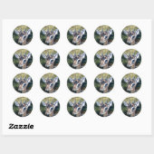 Dikdik Dwarf Antelope Sticker (Vel)