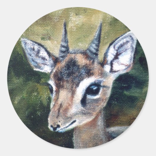 Dikdik Dwarf Antelope Sticker (Voorkant)