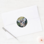 Dikdik Dwarf Antelope Sticker (Envelop)