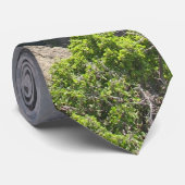 Dike Swarm Stropdas (Opgerold)