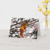 Dikeekhoorn Sneeuwrode boomboom Foto van Birthday Kaart (Gele Bloem)