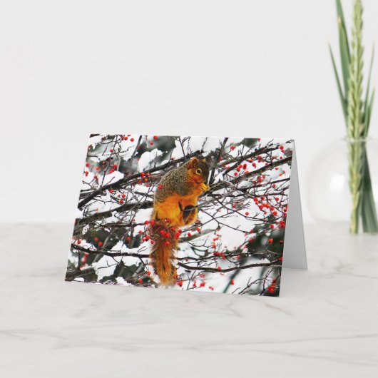 Dikeekhoorn Sneeuwrode boomboom Foto van Birthday Kaart (Voorkant)