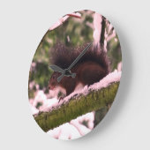 Dikeekhoorn Wintermuur Grote Klok (Hoek)
