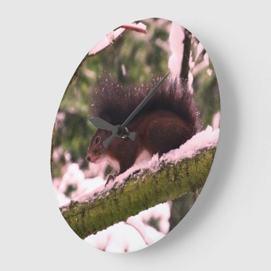 Dikeekhoorn Wintermuur Grote Klok (Hoek)