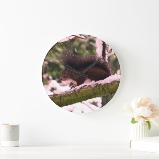 Dikeekhoorn Wintermuur Grote Klok (Huis)