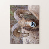 Dikhoornschaap Legpuzzel (Verticaal)