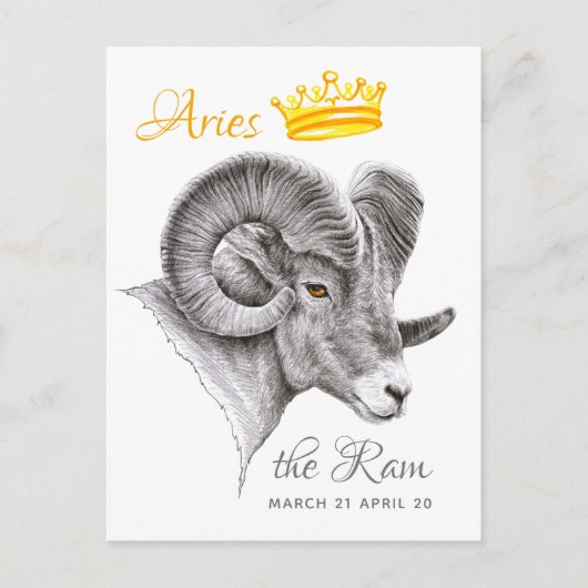 Dikhoornschaap met kroon Ram Sterrenbeeld Dierkuns Briefkaart (Voorkant)