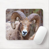 Dikhoornschaap Muismat (Met muis)