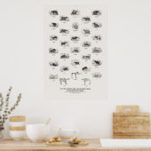 Dikhuidige Viervoeters - Naturalist's Library Poster (Keuken)