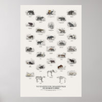 Dikhuidige Viervoeters - Naturalist's Library